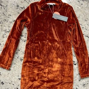 Baileys Blossom velvet turtle neck dress